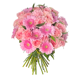 Pastelowe Marzenia